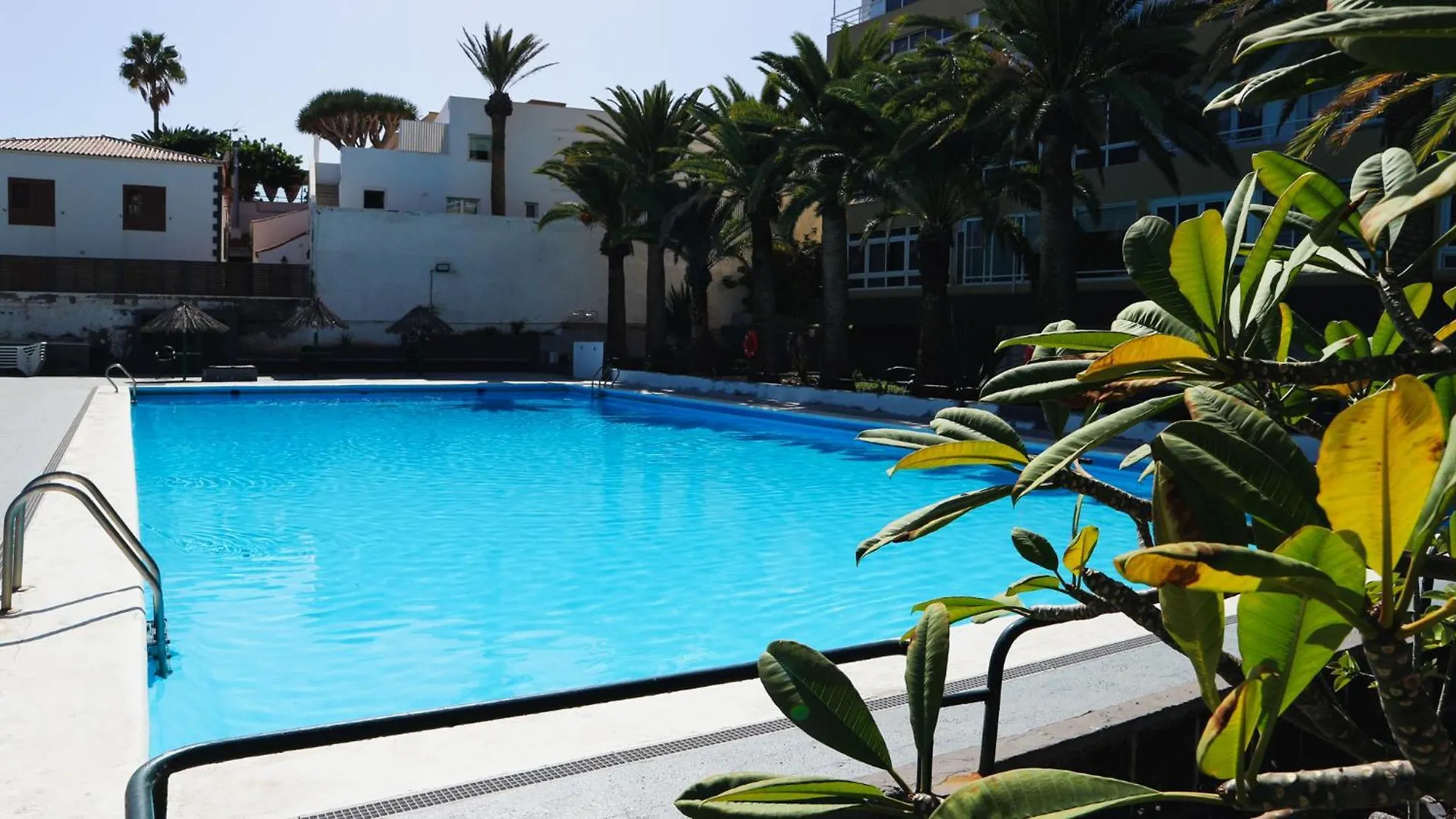 Apartamento Armonia Candelaria